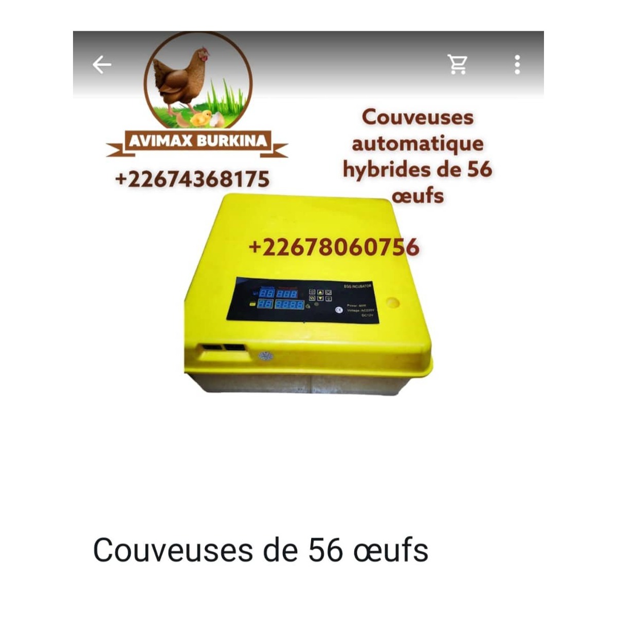 avimax-produit-5690 Mini incubateur 56 œufs – Image 1