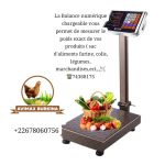Balance numérique rechargeable