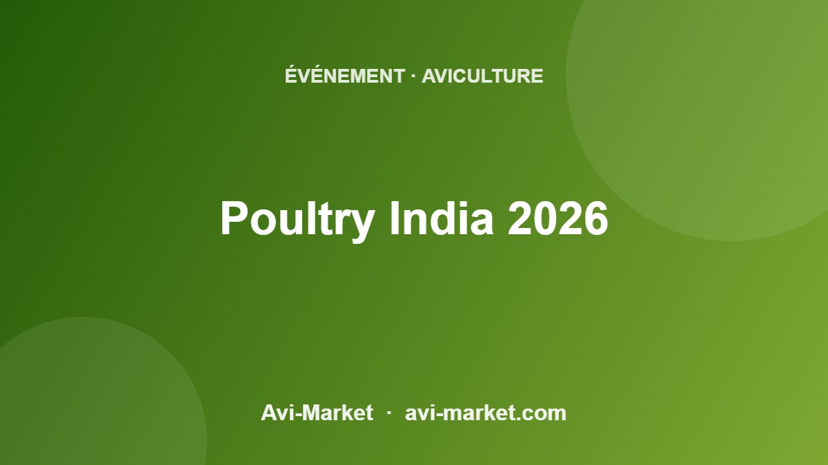 event-3528-avimarket