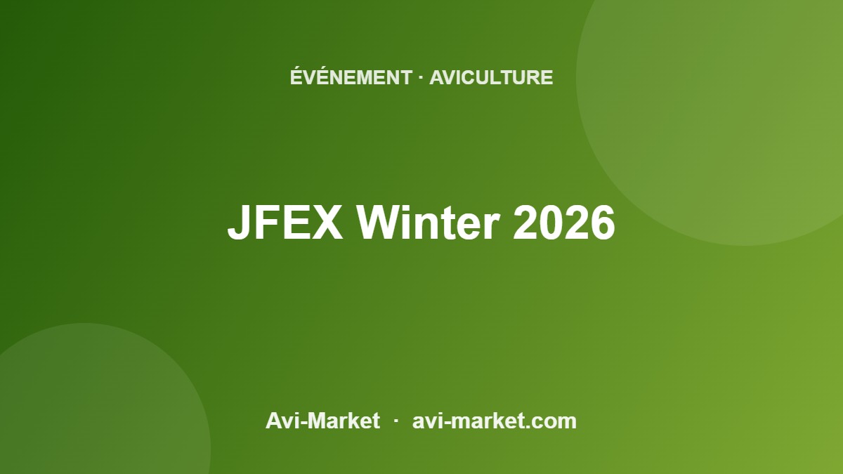 event-3540-avimarket