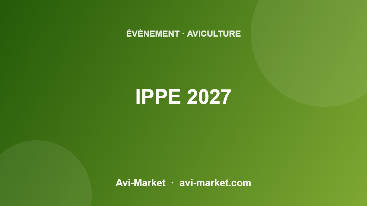 event-5607-avimarket