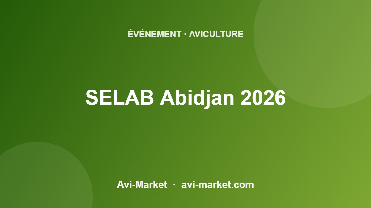 event-5611-avimarket
