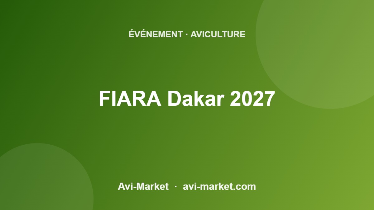 event-5612-avimarket