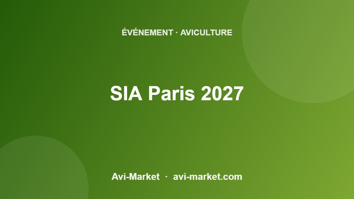 event-5613-avimarket